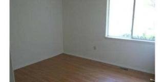 1509 PICKFORD Lane Gallery 11