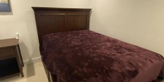 229 Smith Street - 2 Gallery 2