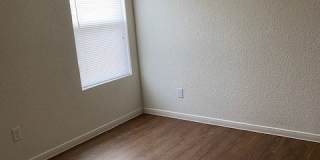 225 Gibson A Gallery 9