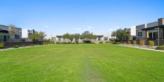 Olive Queen Creek Gallery 31