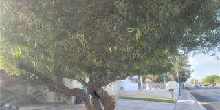 3833 S Eastern Avenue Gallery 1