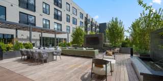 Alder at Allston Yards Gallery 18