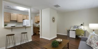 Era on Excelsior Gallery 4