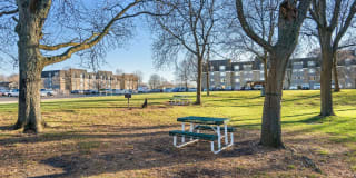 Bartlett Lakes Gallery 5