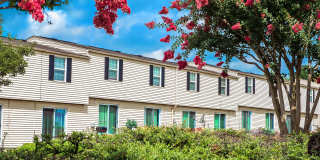 Hopkins Point Gallery 19