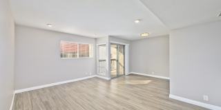 THE MODERN CACTUS Gallery 32