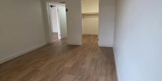 8616w Gallery 6