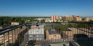 825 Dahlia Gallery 19
