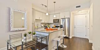 Ventura Pointe Gallery 14