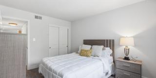 Glenmont Forest Gallery 51