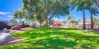 Las Ventanas Gallery 26