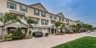 Callista Cay Loop Gallery 1