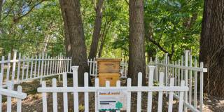 Watertown Mews Gallery 36