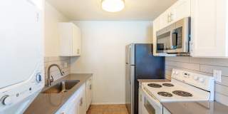 Rise at the Palms Gallery 49