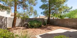 9532 Amber Valley Lane Gallery 24