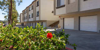 Jackson 23 Apartments Gallery 4