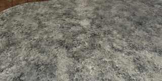 1732 Jameson Street Gallery 8