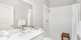 Pines Garden at City Center Gallery 12