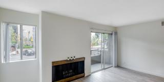 339 S. Ardmore Gallery 15