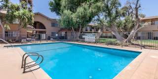 Belinda Apartment Homes Gallery 6