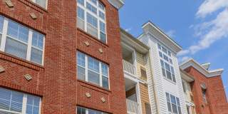 Emerson at Cherry Lane Gallery 4