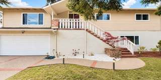 Mid-Century Modern Sequoyah Highlands Home Gallery 3