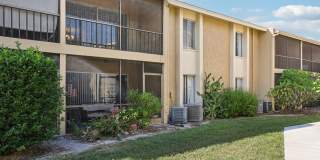 Silver Palms Gallery 30