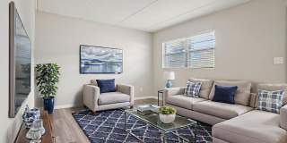 The Element at 464 Gallery 6