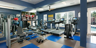 Bexley at Davidson Gallery 5