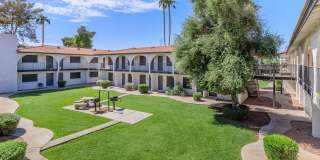 Aster on University Gallery 30