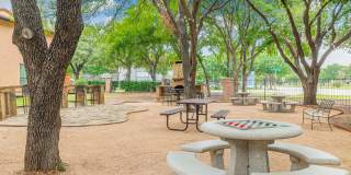 Sandshell at Fossil Creek Gallery 34