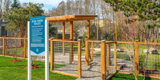 Lighthouse Apartments Gallery 19