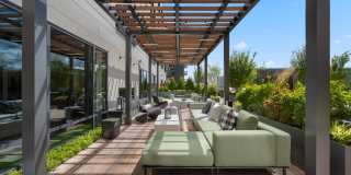 Alder at Allston Yards Gallery 13