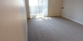 Chelan Gallery 22