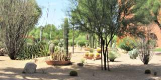 12222 N PARADISE VILLAGE Parkway Gallery 30