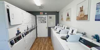 Echo Glen Gallery 9