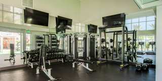 Vive on the Park Gallery 17