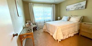 LAKE VIEW - NEVER FLOODED 4/3 Gallery 17