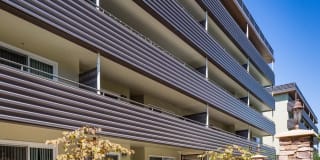 Vista Torre Gallery 17