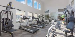 Reveal Apartments Gallery 31