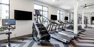 Edition on Oberlin Gallery 22