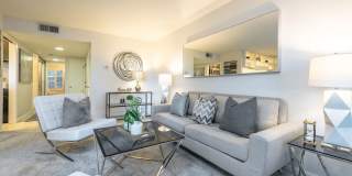 3335 La Mesa Dr Gallery 1