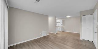 The Stella The Stella Gallery 16