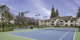 The Arbors Gallery 5