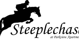 Steeplechase at Parkview Gallery 1