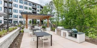 Novel Cary Gallery 23