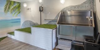 The Brandt Gallery 24