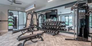 Alta Cypress Gallery 21