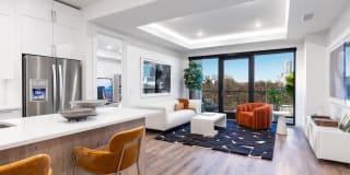1155 Barton Springs Gallery 16