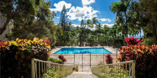 Makaha Valley Towers Fully Furnished. 1 Bedroom/1 Bath Gallery 20